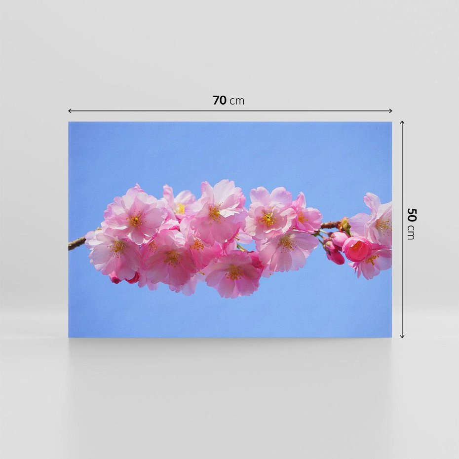 Obraz na płótnie 70x50 - Kwiatowy taniec kolorów - kwiat, kwiaty