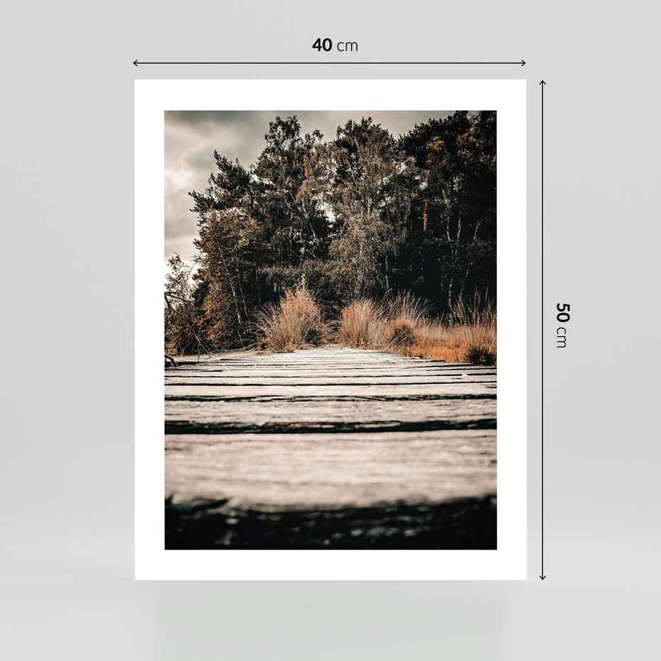 Plakat bez ramy 40x50 - Fotografia w Ciepłych Barwach - odcienie brązu, fotografia