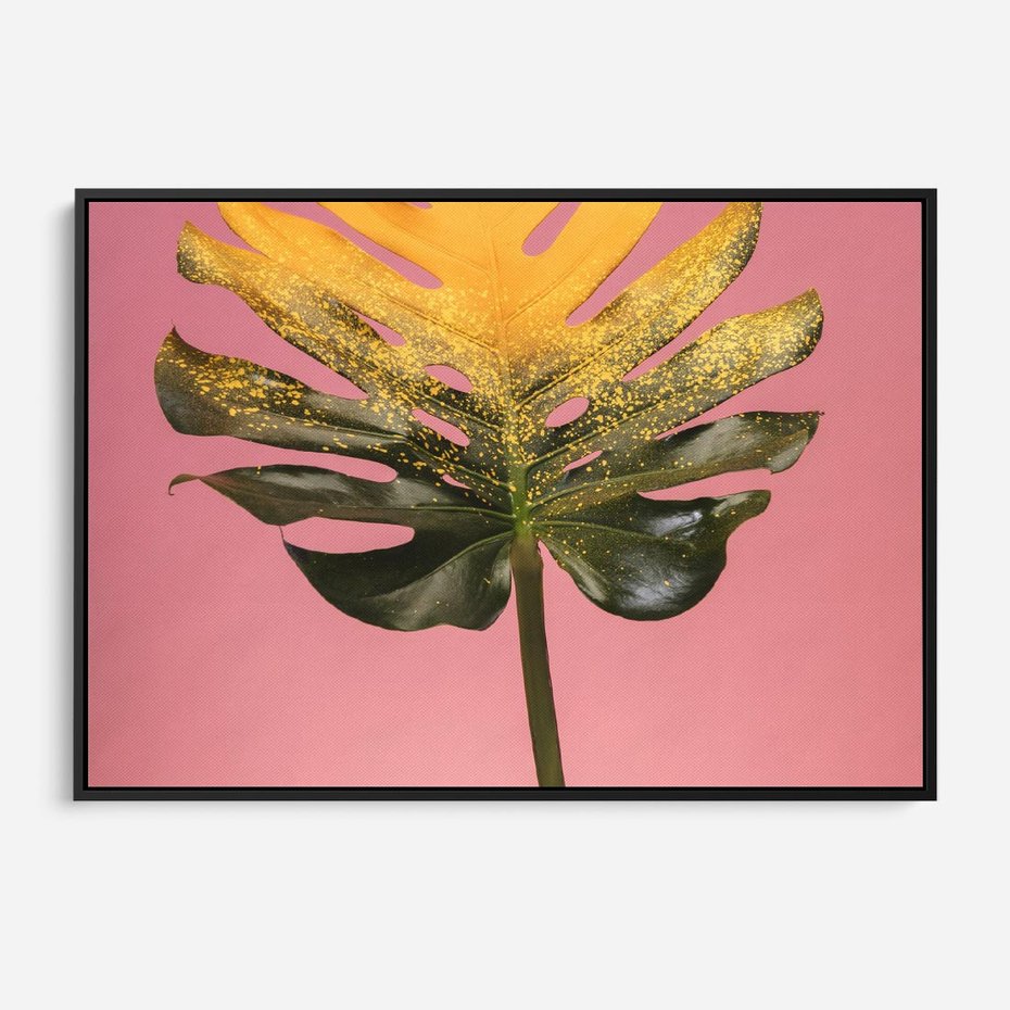 Obraz w ramie 70x50 - Majestatyczna monstera - monstera, liść - rama czarna