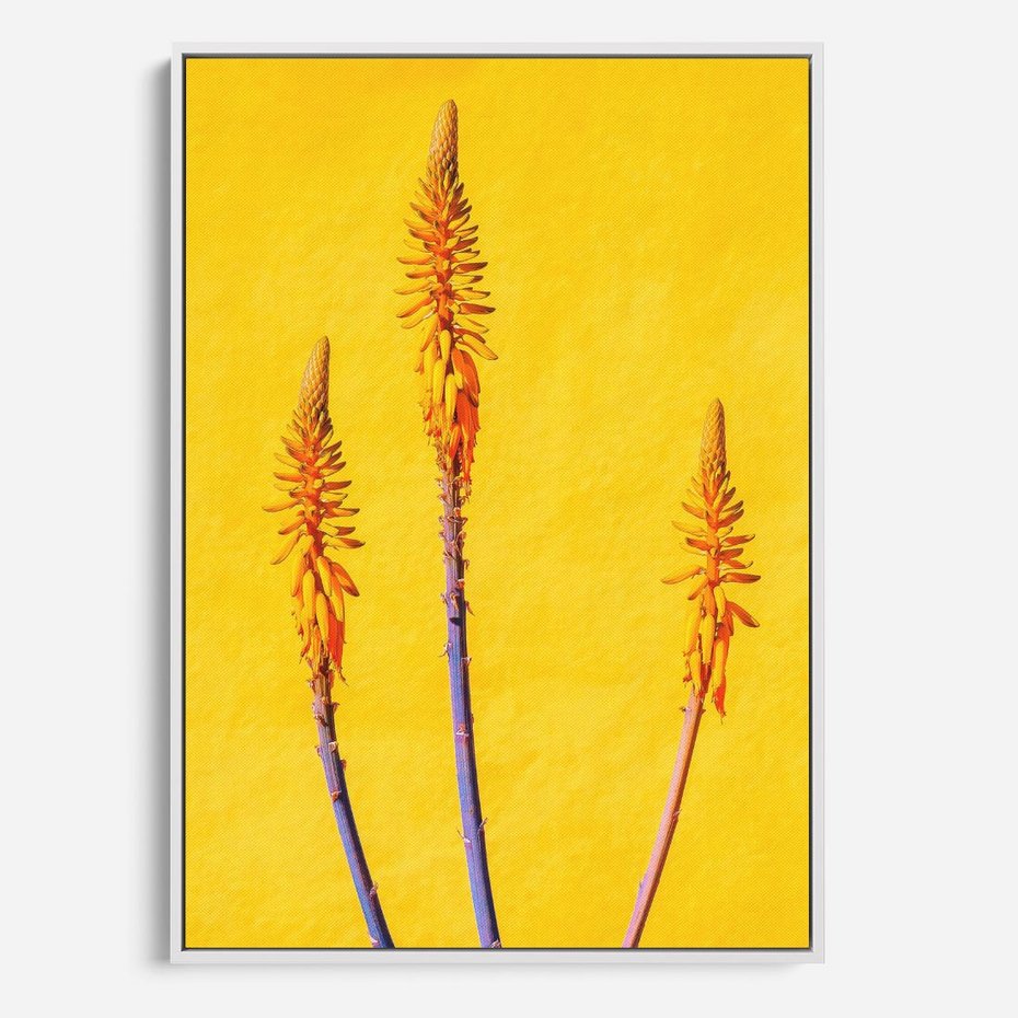 Obraz w ramie 70x100 - Radość Natury - kolor, kwiaty - rama biała