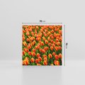 Obraz na płótnie 70x70 - Tulipanowa eksplozja - tulipany, kwiaty