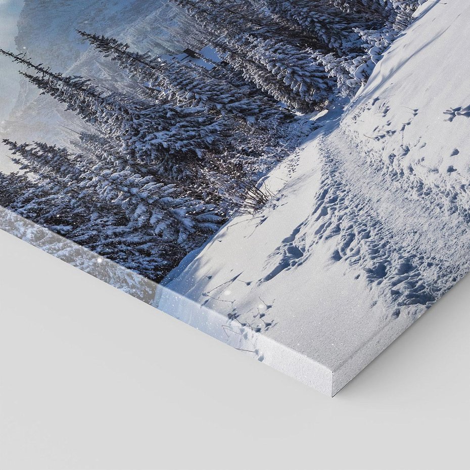 Obraz na płótnie 30x30 - Zimowe góry w lesie - góry, zima