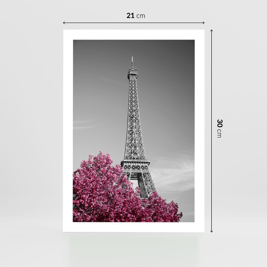 Plakat bez ramy 21x30 - Różowy Paryż - czarno białe zdjęcie, wieża eiffla
