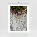 Plakat bez ramy 30x40 - Fioletowe Wrzosy - wrzosy, fiolet