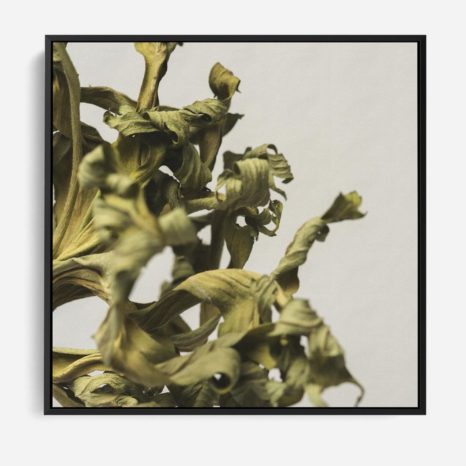 Obraz w ramie 50x50 - Odejście pory deszczowej - suche, trawy - rama czarna