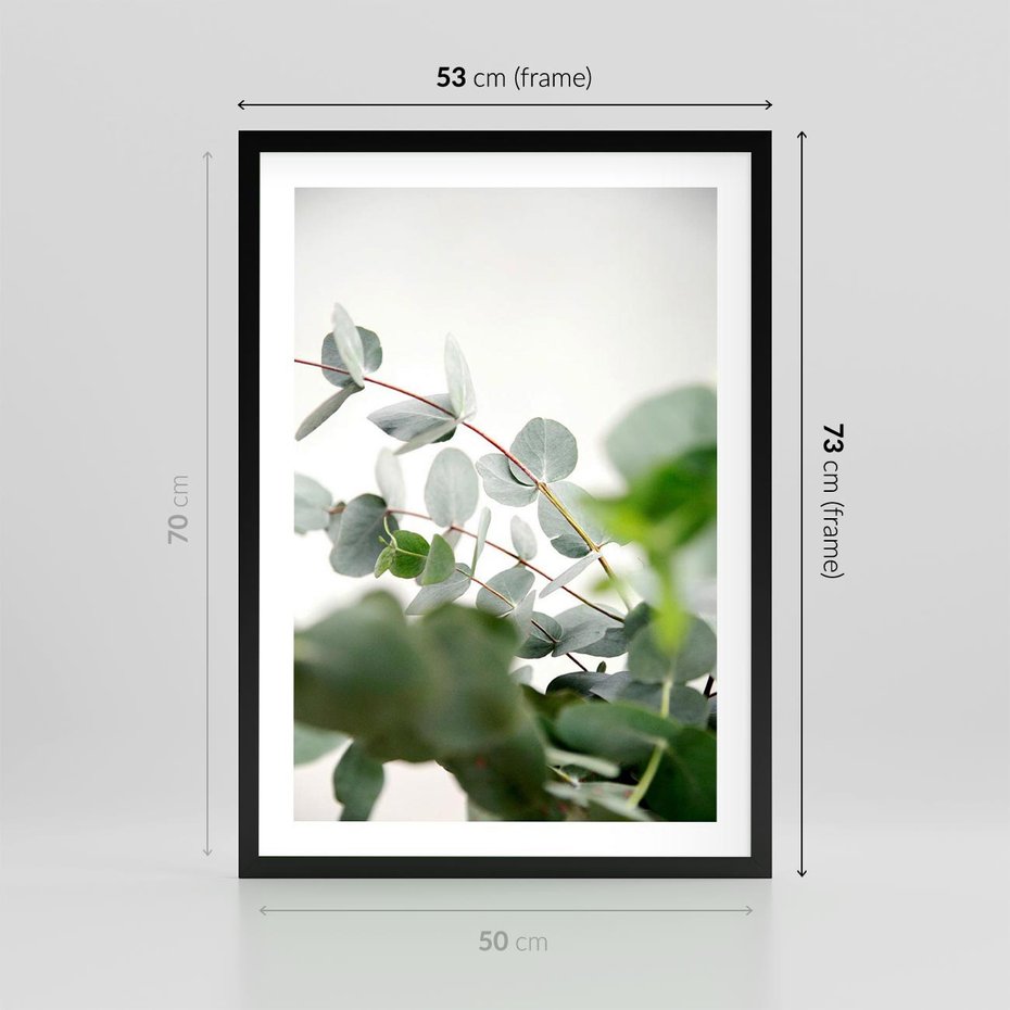 Plakat w ramie 50x70 - Zielony Świat Eukaliptusa - eukaliptus, fotografia - rama czarna