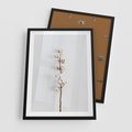 Plakat w ramie 50x70 - Minimalistyczna Gałązka Bawełny - bawełna, gałązka bawełny - rama czarna