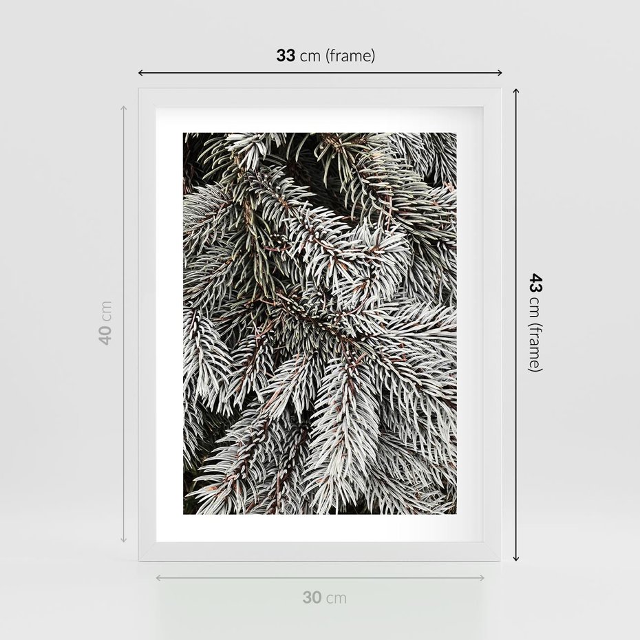 Plakat w ramie 30x40 - Cisza Zimowej Natury - zima, iglaste gałązki - rama biała