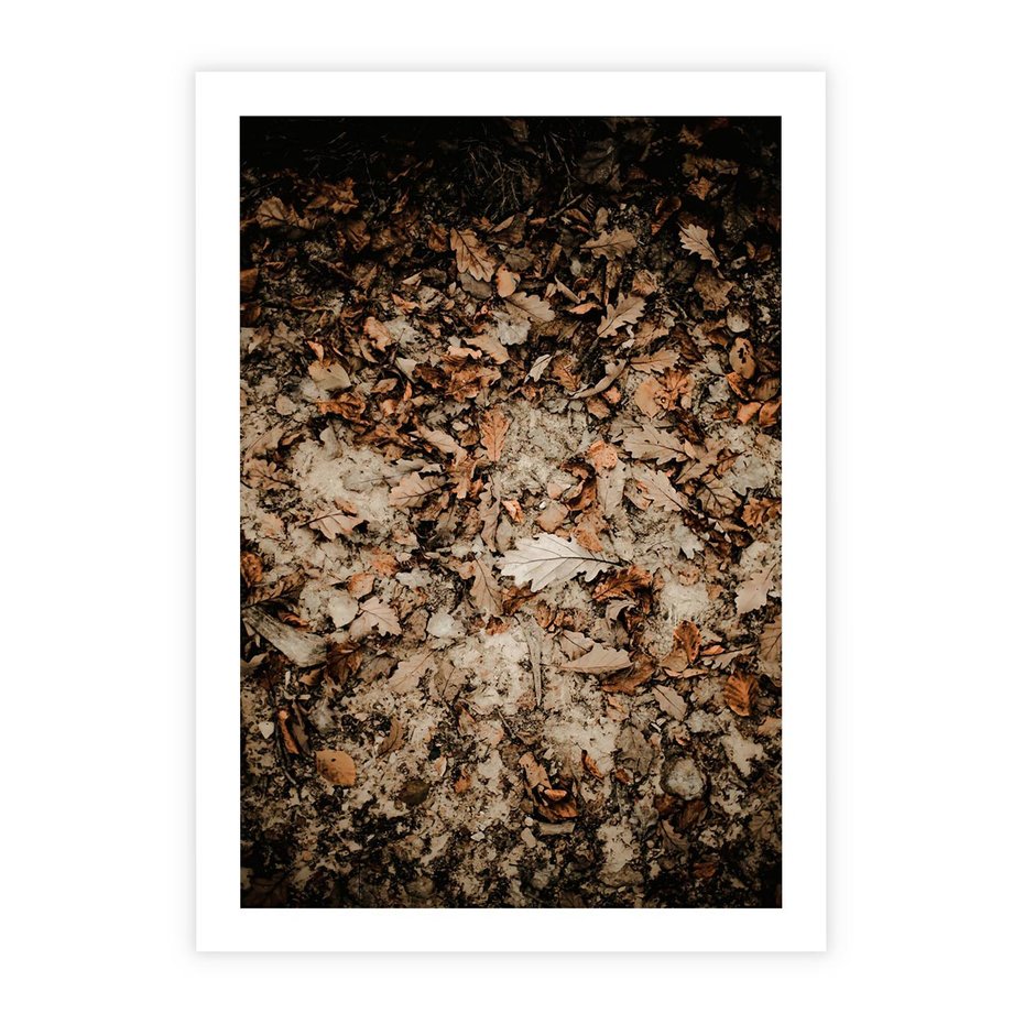 Plakat bez ramy 21x30 - Suchość Liści w Brązowych Tonach - suche liście jesień brąz
