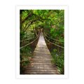 Plakat bez ramy 21x30 - Przez Dżunglę - most, linowy
