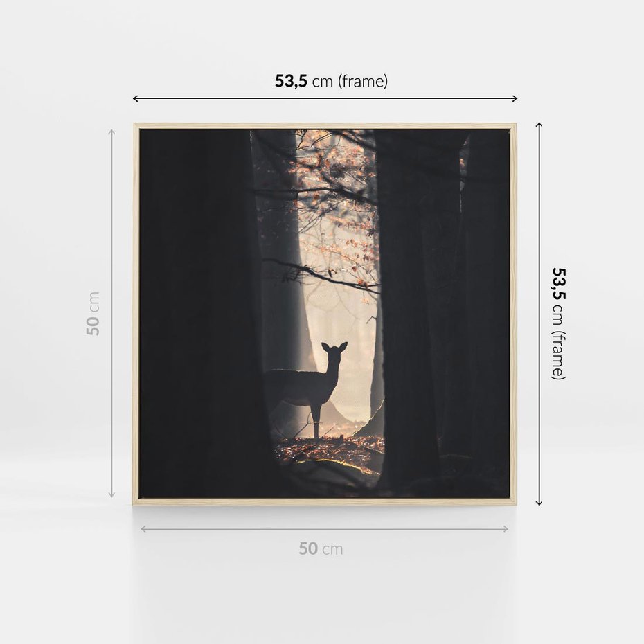 Obraz w ramie 50x50 - Sarnie Skoki - zdjęcie, klimatyczny las - rama drewno
