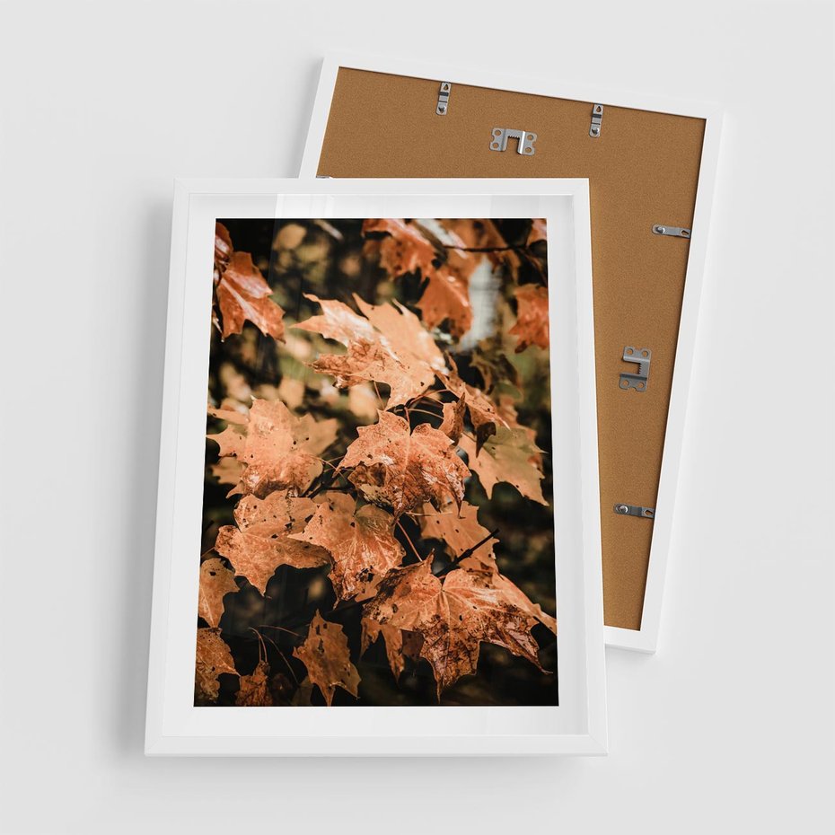 Plakat w ramie 50x70 - Ciepło Jesieni - jesienne pomarańczowe liśćie, jesień - rama biała