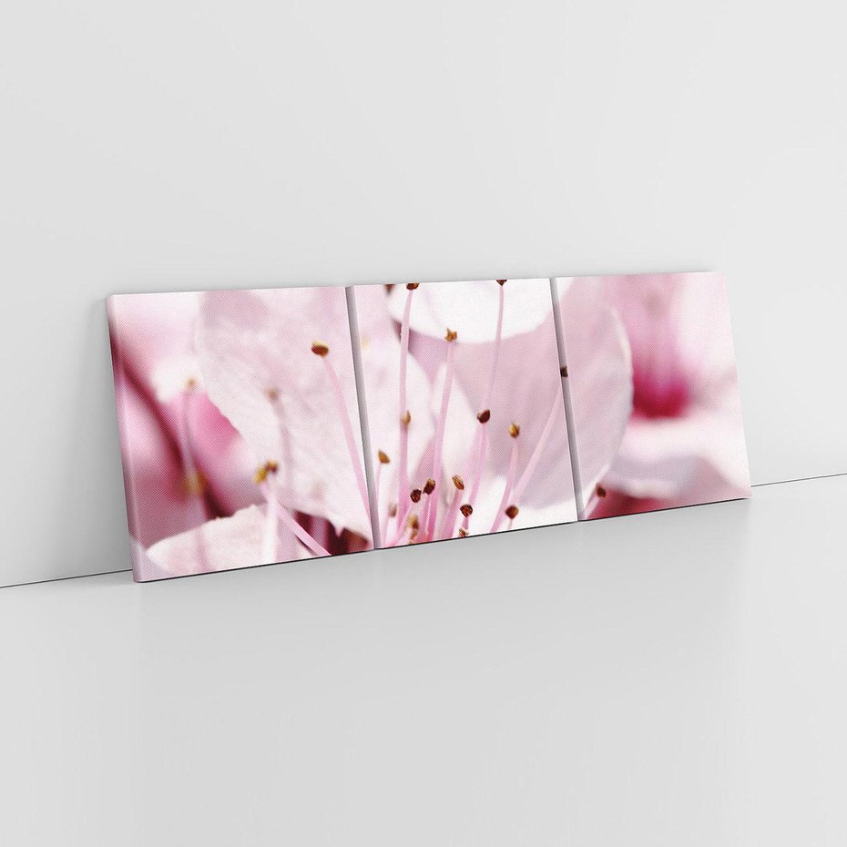 Obraz na płótnie 150x50 - Kwitnąca Wiśnia - kwiaty, kwitnąca