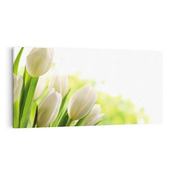 Obraz na płótnie 140x70 - delikatność kwiatów - tulipany, kwiat