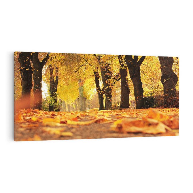 Obraz na płótnie 100x50 - Jesień, Liście, Park - Kolorowa Symfonia - jesień, liście