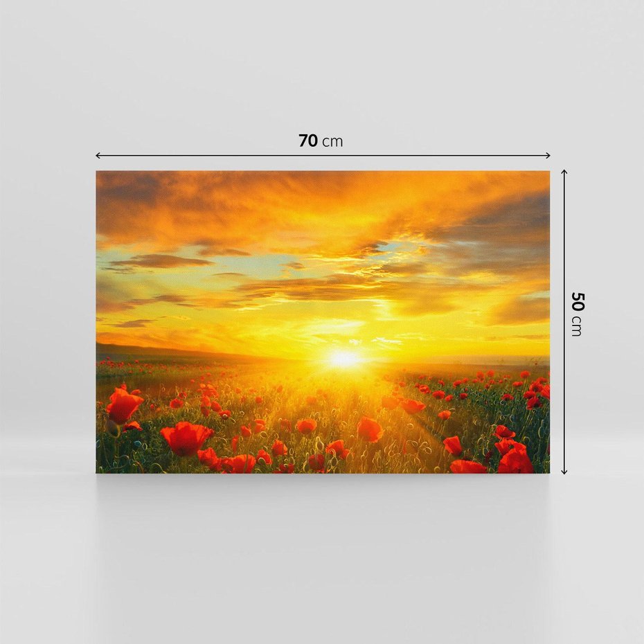 Obraz na płótnie 70x50 - Magia zachodu słońca na łące z makami - łąka, zachód słońca