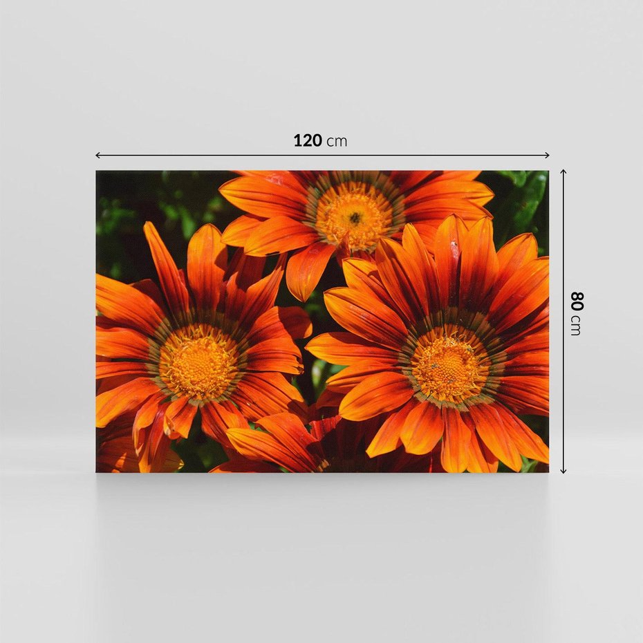 Obraz na płótnie 120x80 - Kwiatowa Esencja - kwiat, kwiaty