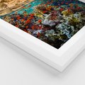 Plakat w ramie 40x50 - Rafa koralowa w oceanie - rafa, koralowa - rama biała