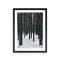 Plakat w ramie 30x40 - Zimowe Drzewa: Śnieg na Pniach - drzew w zimi, pnie drzew - rama czarna
