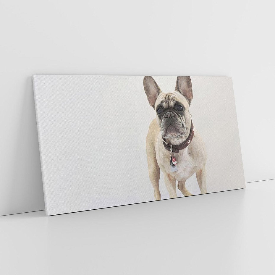 Obraz na płótnie 140x70 - Wernisaż psiego wdzięku - pies, piesek