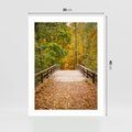 Plakat bez ramy 30x40 - Spacer Ścieżką w Las - ścieżka, spacer