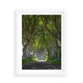 Plakat w ramie 50x70 - Magiczny Las - drzewa, las - rama biała