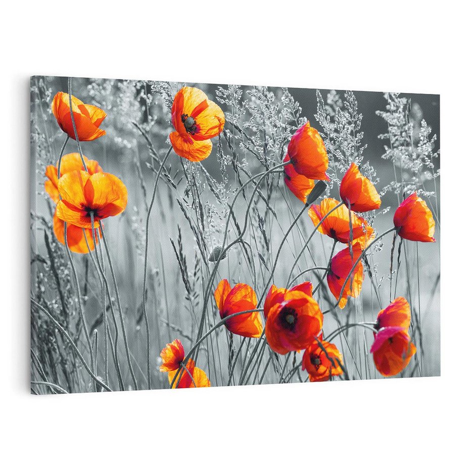 Obraz na płótnie 120x80 - Malownicza łąka - maki, mak