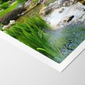 Plakat bez ramy 30x40 - Ogródowy Strumyk - strumyk, ogród