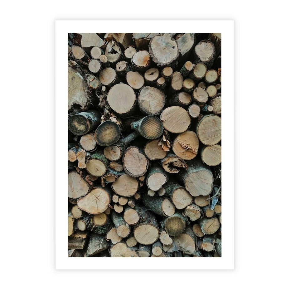 Plakat bez ramy 30x40 - Bliskość Natury - drewno, las