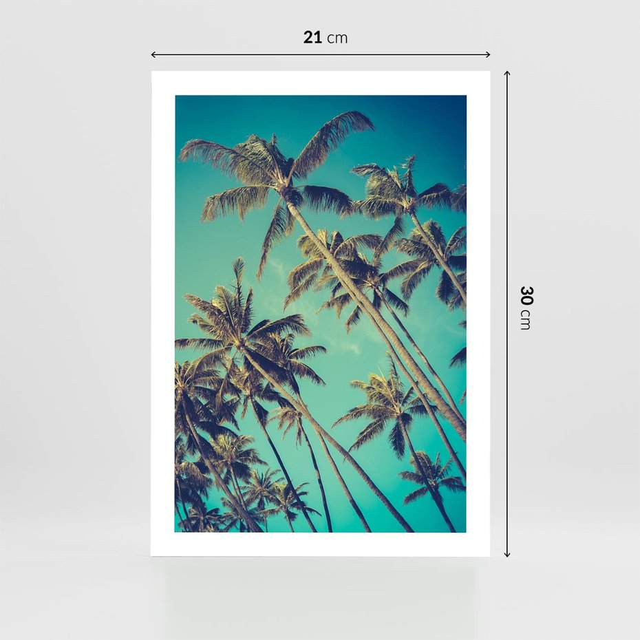 Plakat bez ramy 21x30 - Tropikalne palmy w krainie słonecznych wakacji - palmy, tropiki