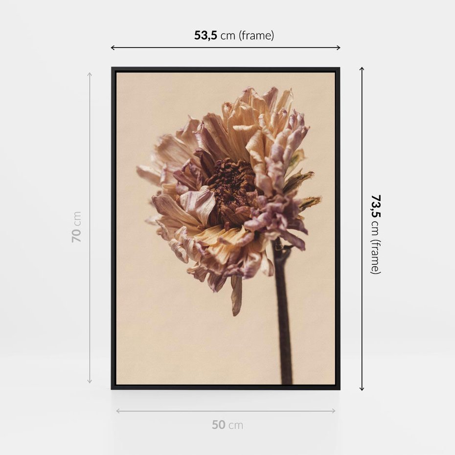 Obraz w ramie 50x70 - Delikatne piękno - suche, kwiaty - rama czarna