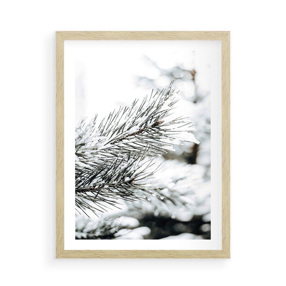 Plakat w ramie 50x70 - Chwila Zimowej Magii - iglasta gałązka, śnieg - rama drewno