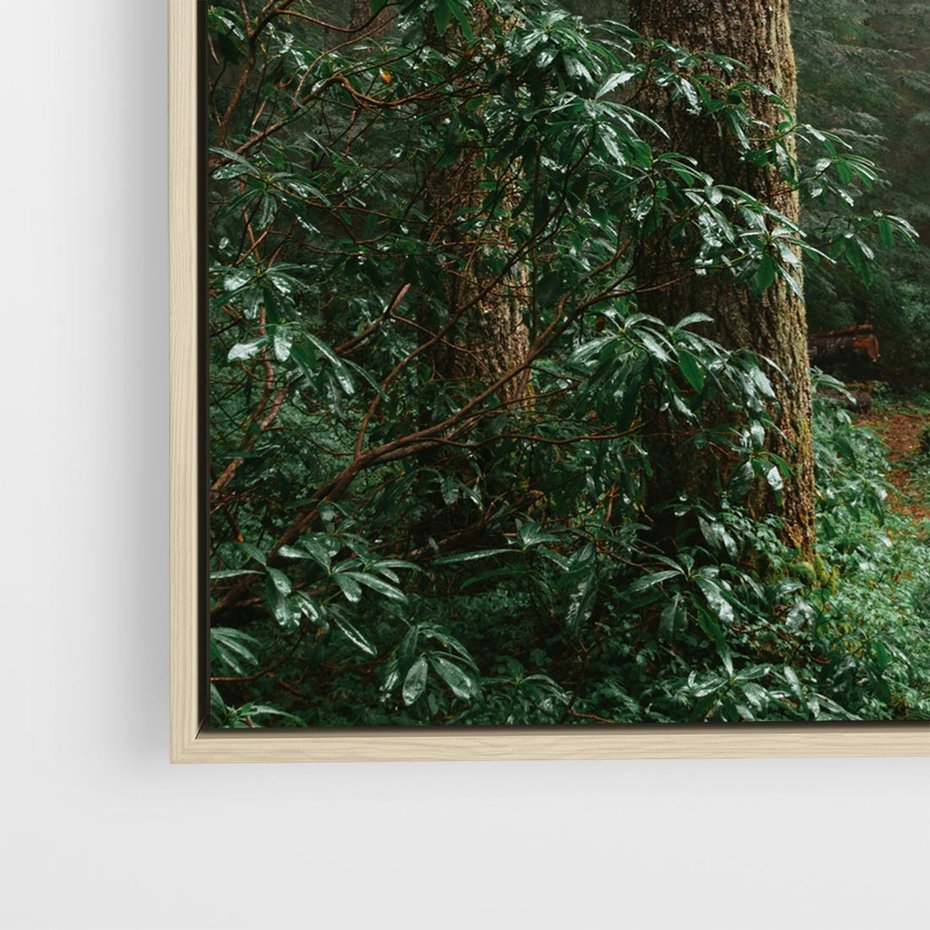 Obraz w ramie 50x50 - Mgliste Marzenia - artystyczna fotografia, las - rama drewno