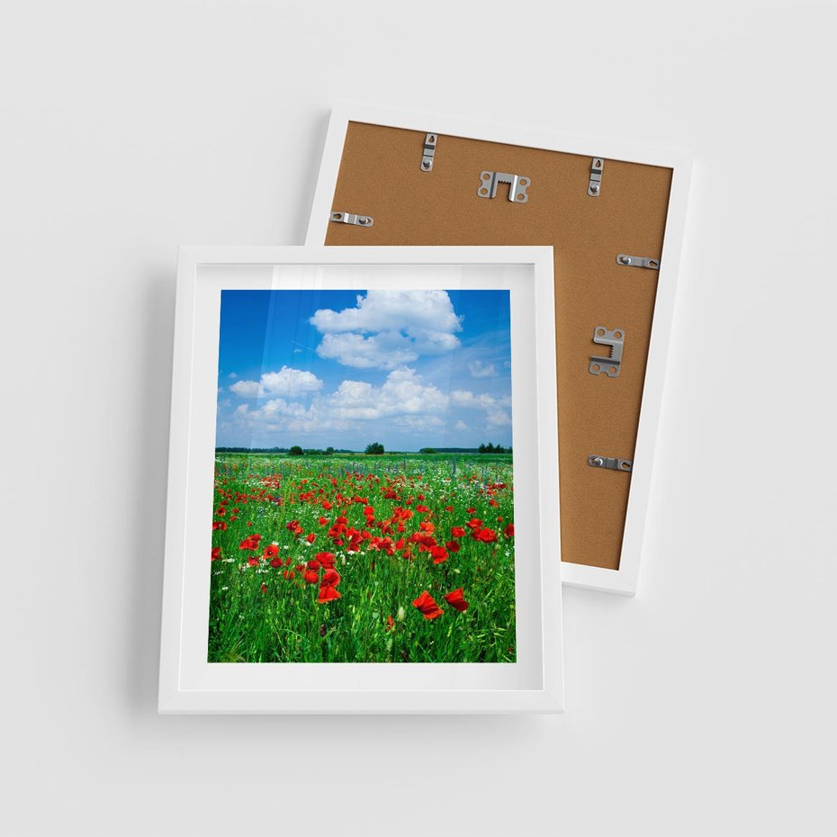 Plakat w ramie 40x50 - Kolorowa łąka pełna maku - łąka, maki - rama biała