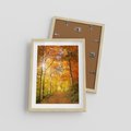 Plakat w ramie 30x40 - Złote barwy jesiennego lasu - las, jesień - rama drewno