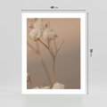 Plakat bez ramy 40x50 - Subtelna gipsówka - gipsówka, suche