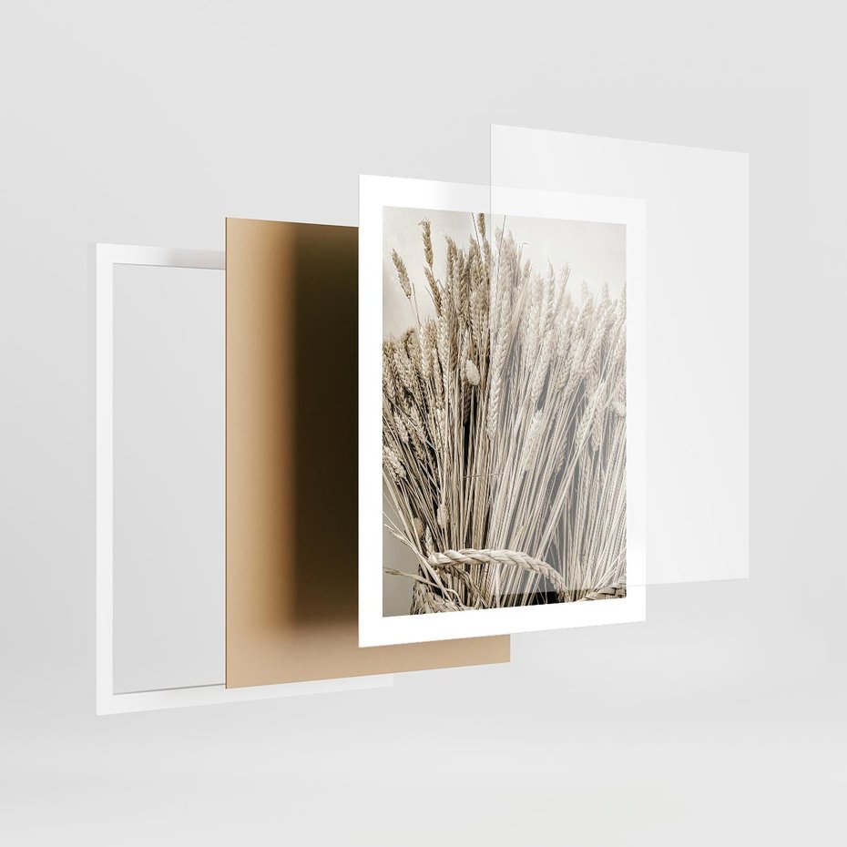 Plakat w ramie 40x50 - Letni Plon - zboże, kłosy zboża - rama biała