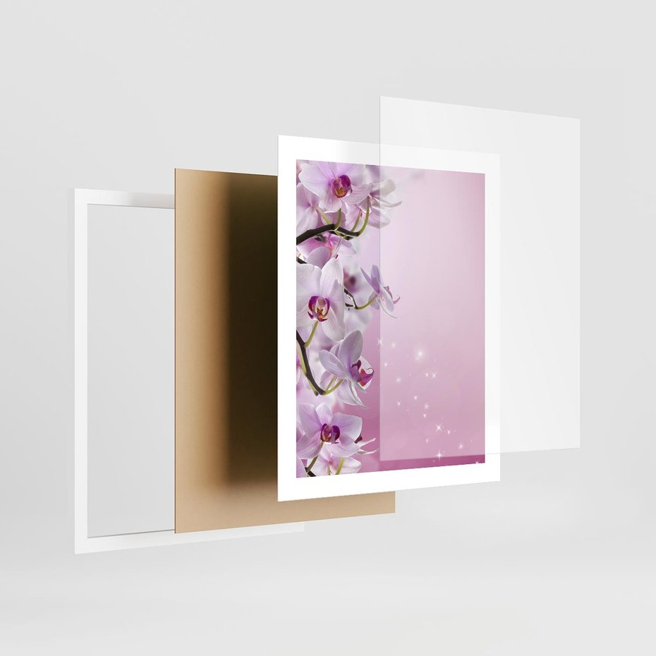 Plakat w ramie 40x50 - Relaksujące Piękno - kwiaty, orchidea - rama biała