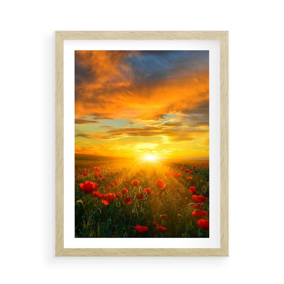 Plakat w ramie 50x70 - Magia zachodu słońca na łące z makami - łąka, zachód słońca - rama drewno