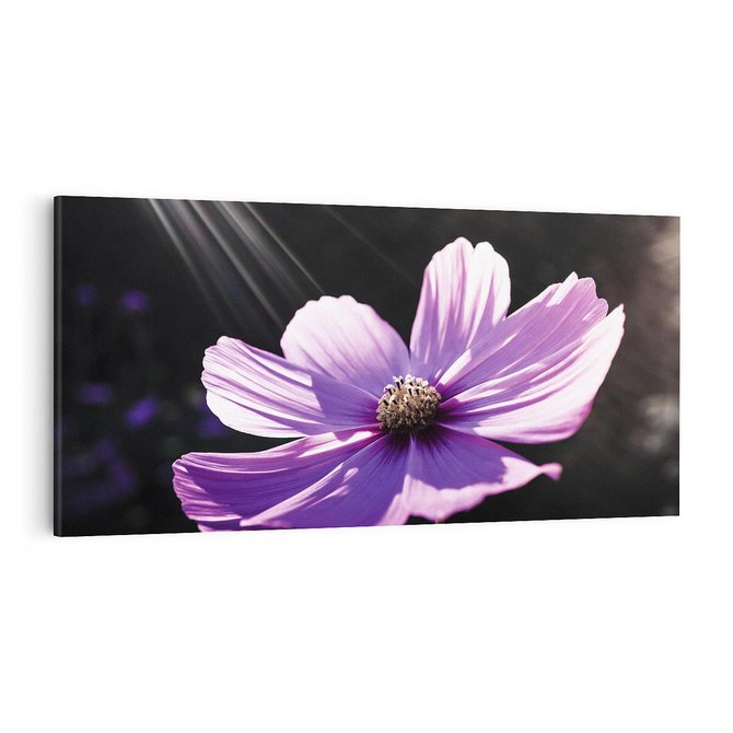 Obraz na płótnie 100x50 - Kwiatowy taniec natury - kwiat, kwiaty