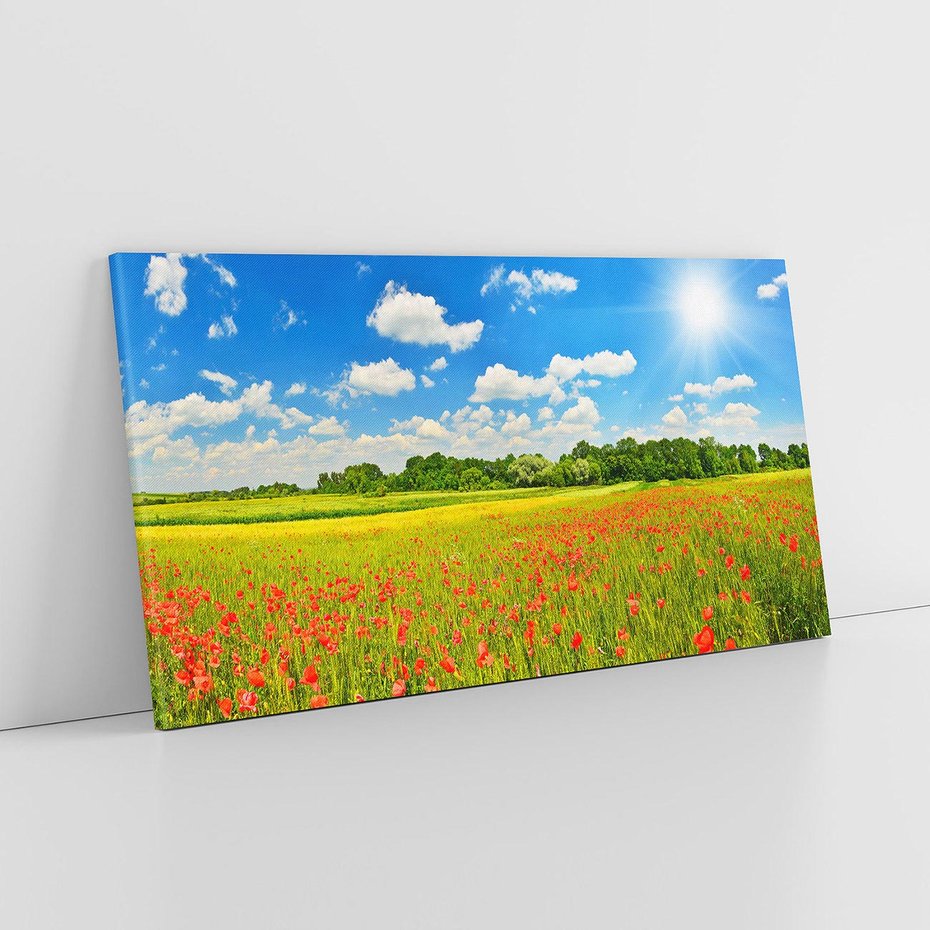 Obraz na płótnie 120x60 - Malownicze maki na łące - maki, łąka