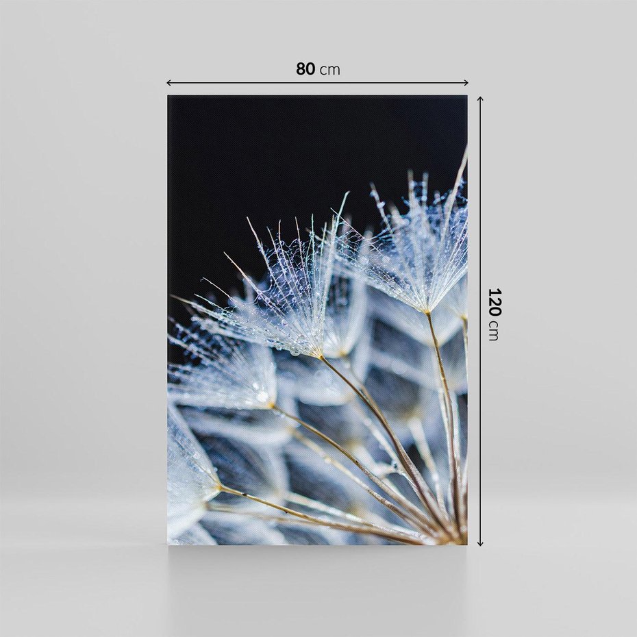 Obraz na płótnie 80x120 - Makro piękno dmuchawców - makro, dmuchawce