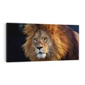 Obraz na płótnie 120x60 - Lew - Król Zwierząt - lew, zwierzęta