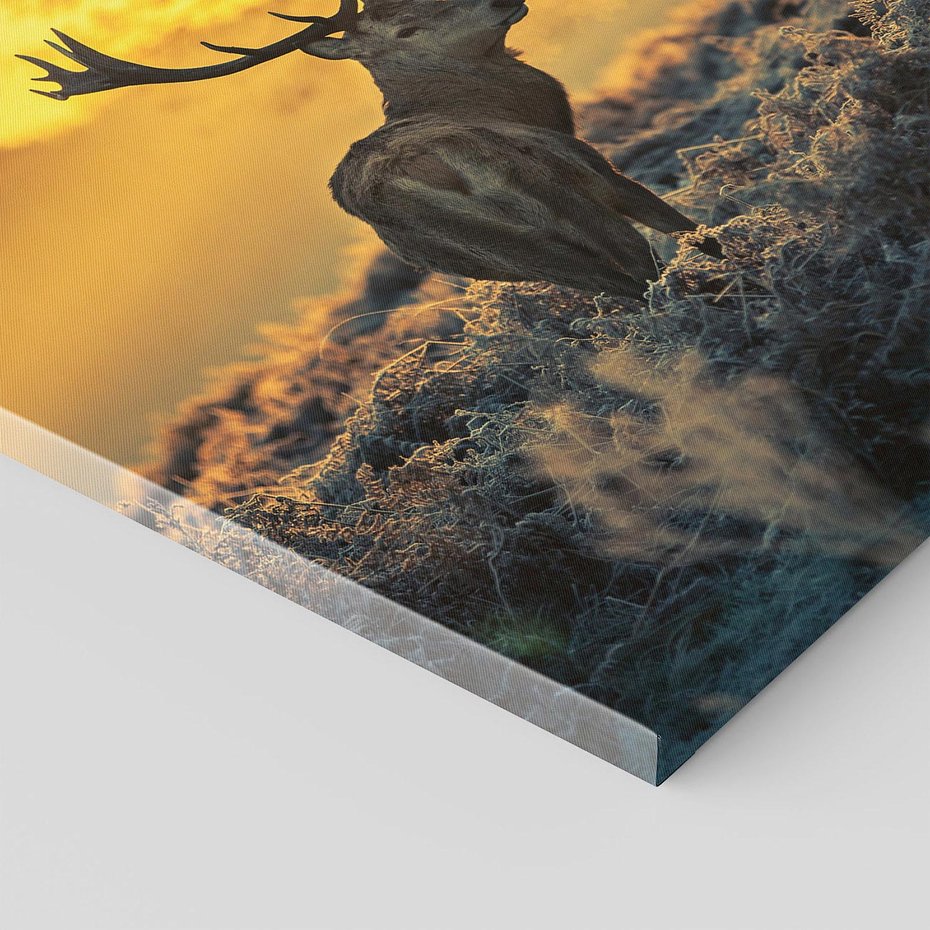 Obraz na płótnie 60x60 - Jesienne Spotkanie w Lesie - jeleń, jesień