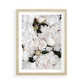 Plakat w ramie 50x70 - Modne Białe Kwiaty - białe kwiaty, płatki - rama drewno