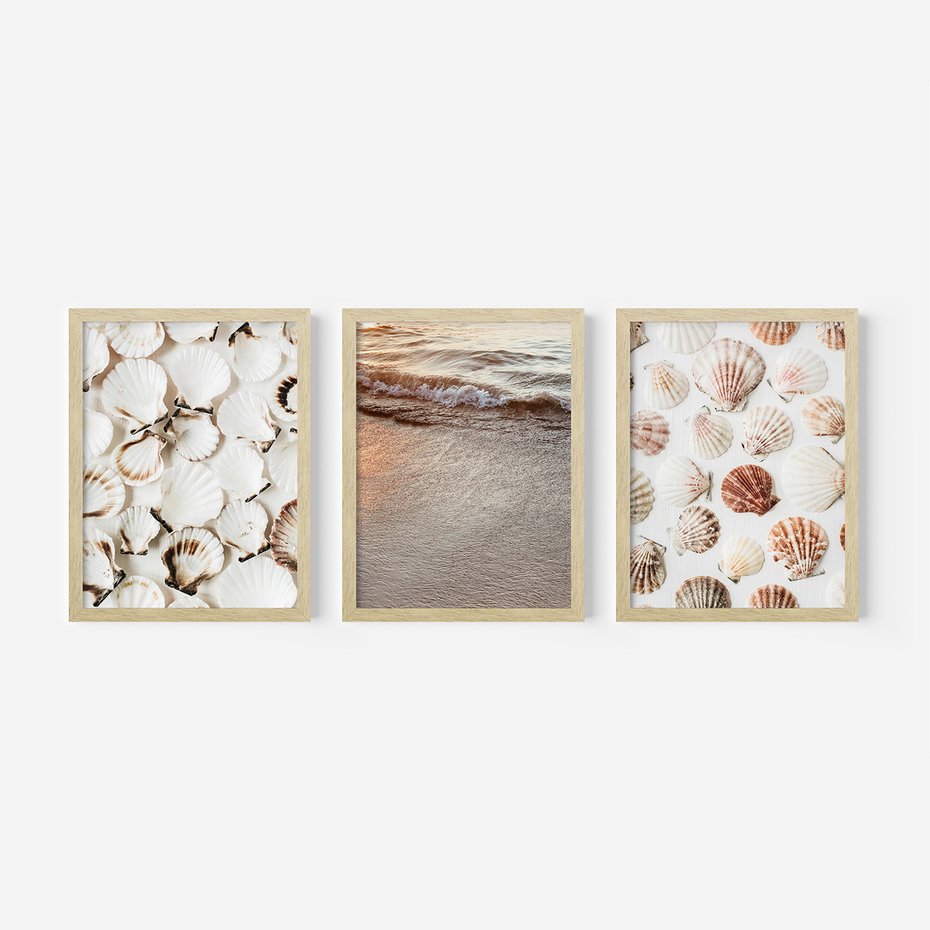 Zestaw obrazy w ramie 40x50 galeria - Morze, muszla, zachód, słońca - rama drewno
