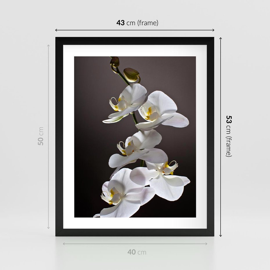 Plakat w ramie 40x50 - SPA: harmonia z kwiatami - spa, kwiaty - rama czarna