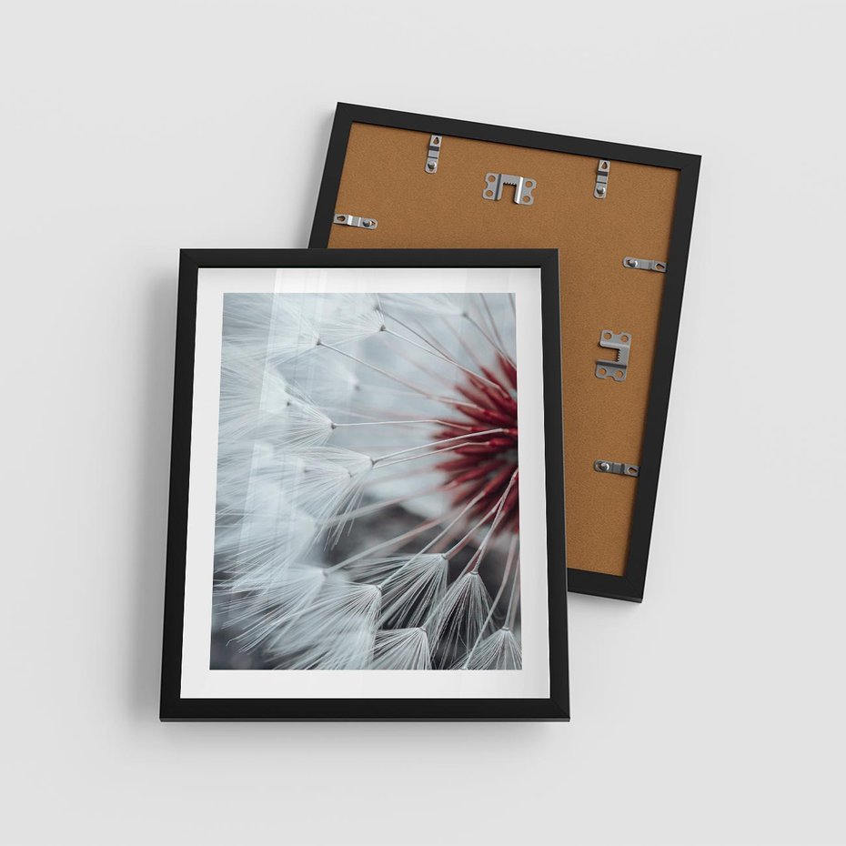 Plakat w ramie 40x50 - Makro Magii Natury - dmuchawiec, zbliżenie makro - rama czarna