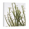 Obraz na płótnie 50x50 - Ekskluzywna Roślinność - kaktusy, liście