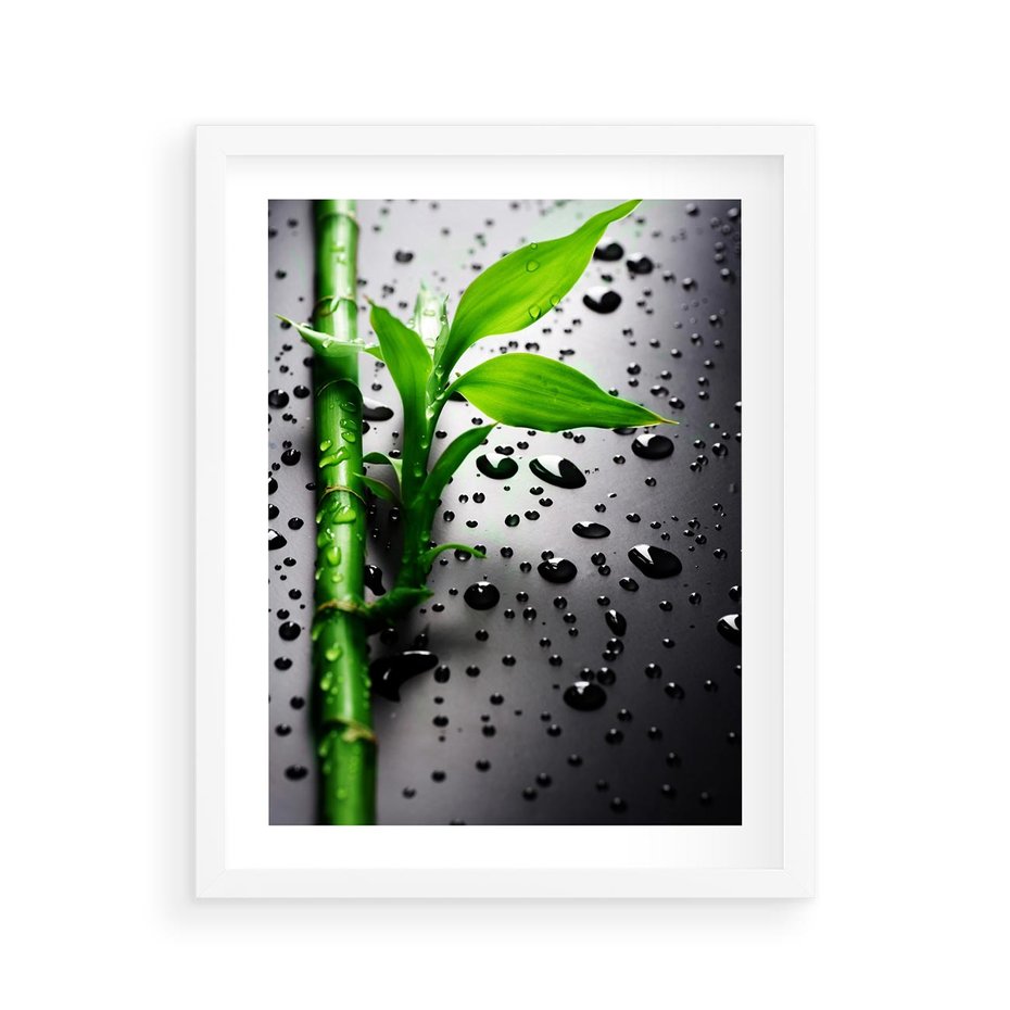 Plakat w ramie 40x50 - Bambusowa Harmonia - bambus, liście - rama biała
